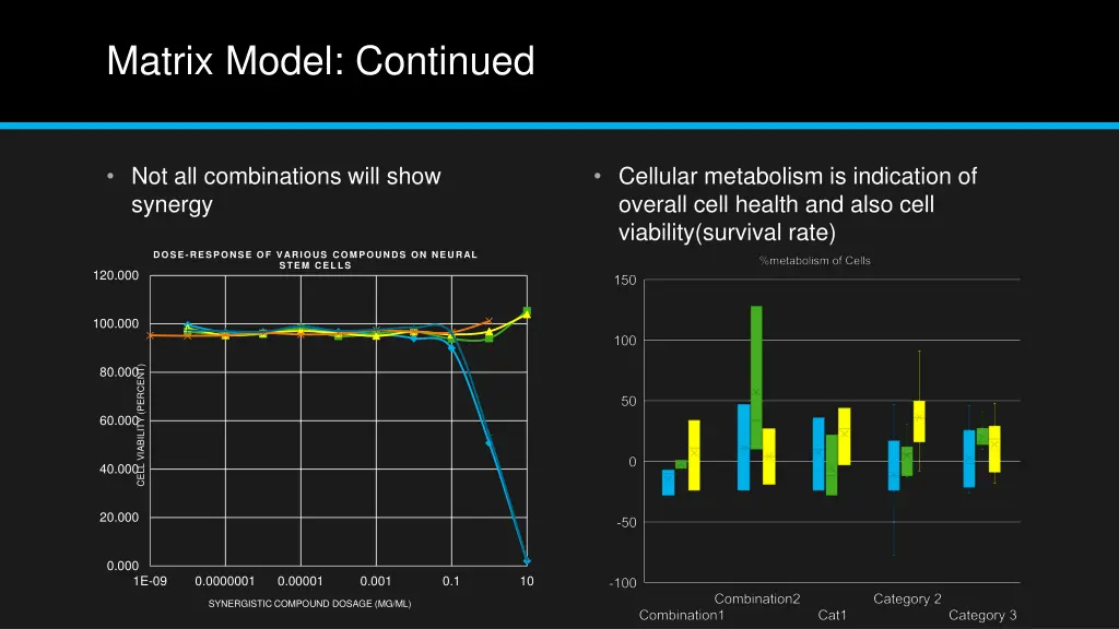 matrix model continued