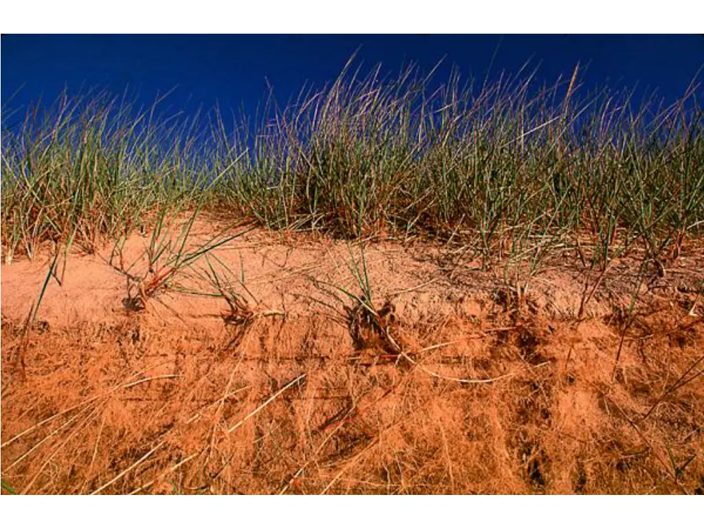 slide14