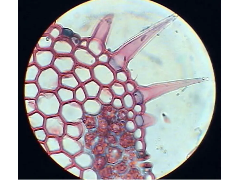 slide16