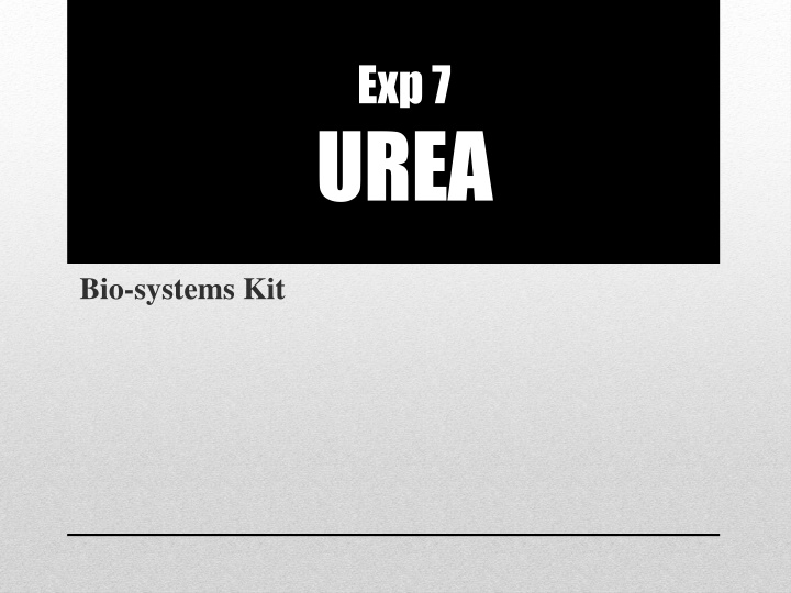 exp7 urea