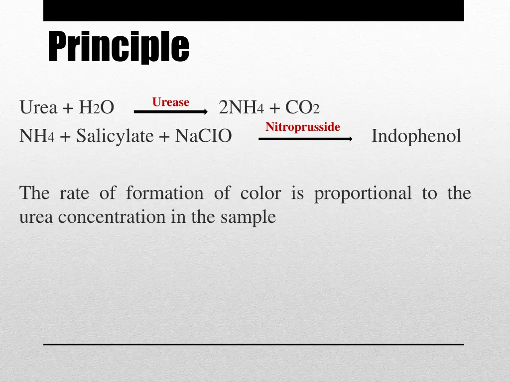 principle