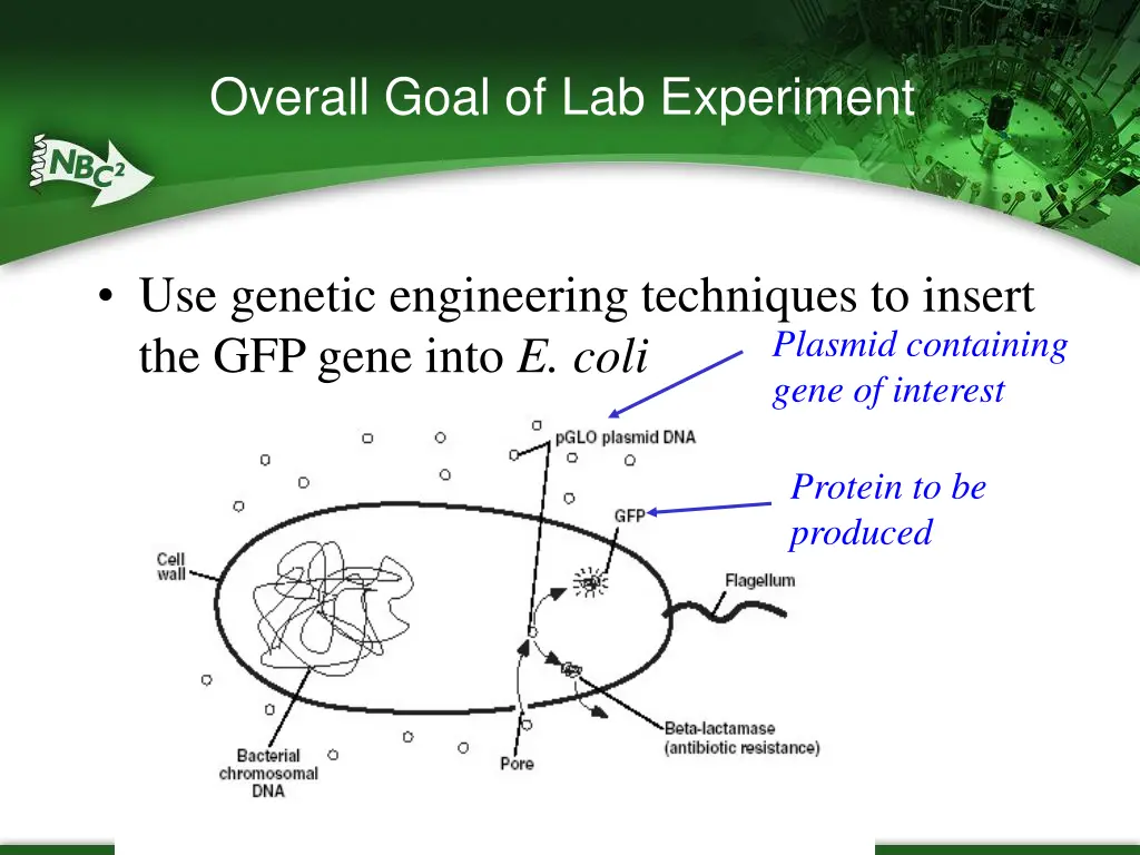 overall goal of lab experiment