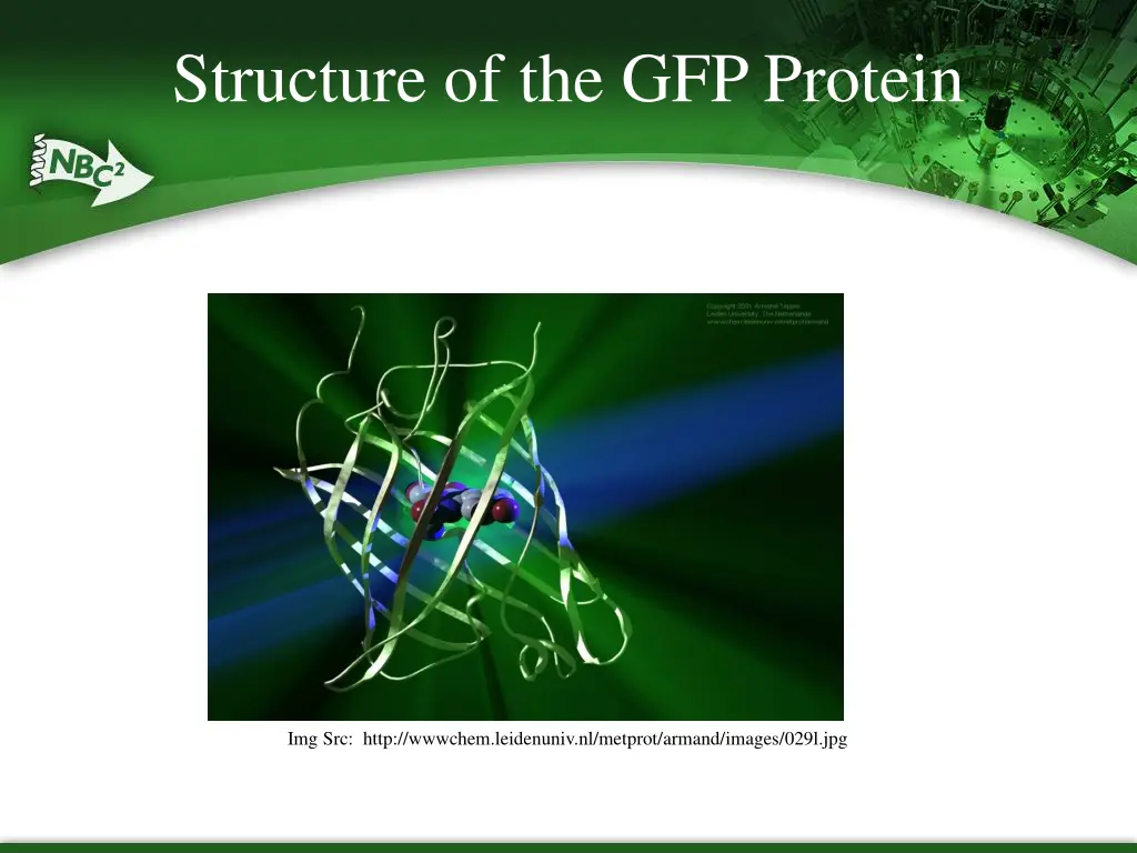 structure of the gfp protein