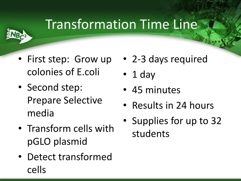 transformation time line