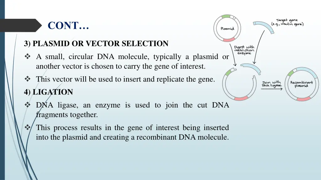 slide5