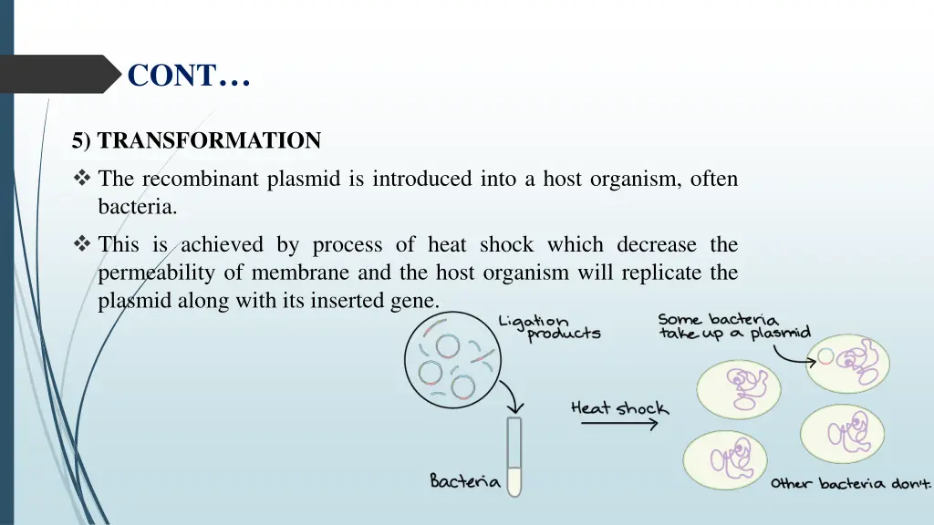 slide6