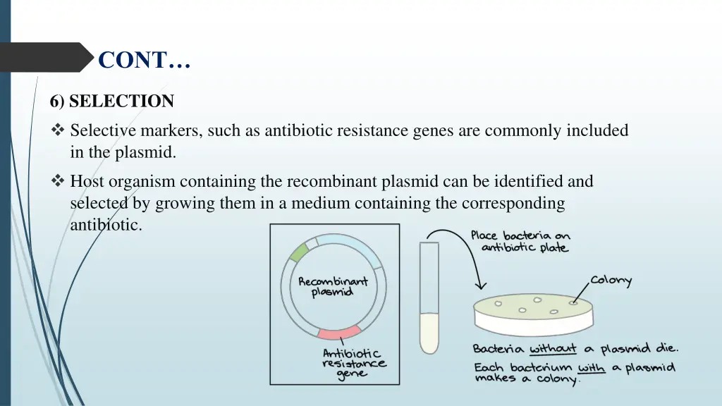 slide7