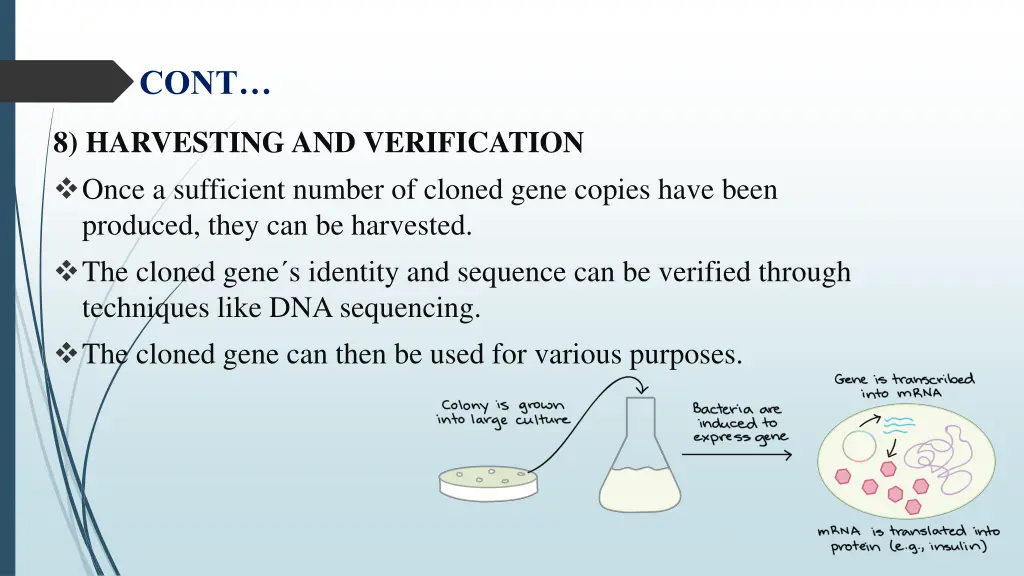 slide9