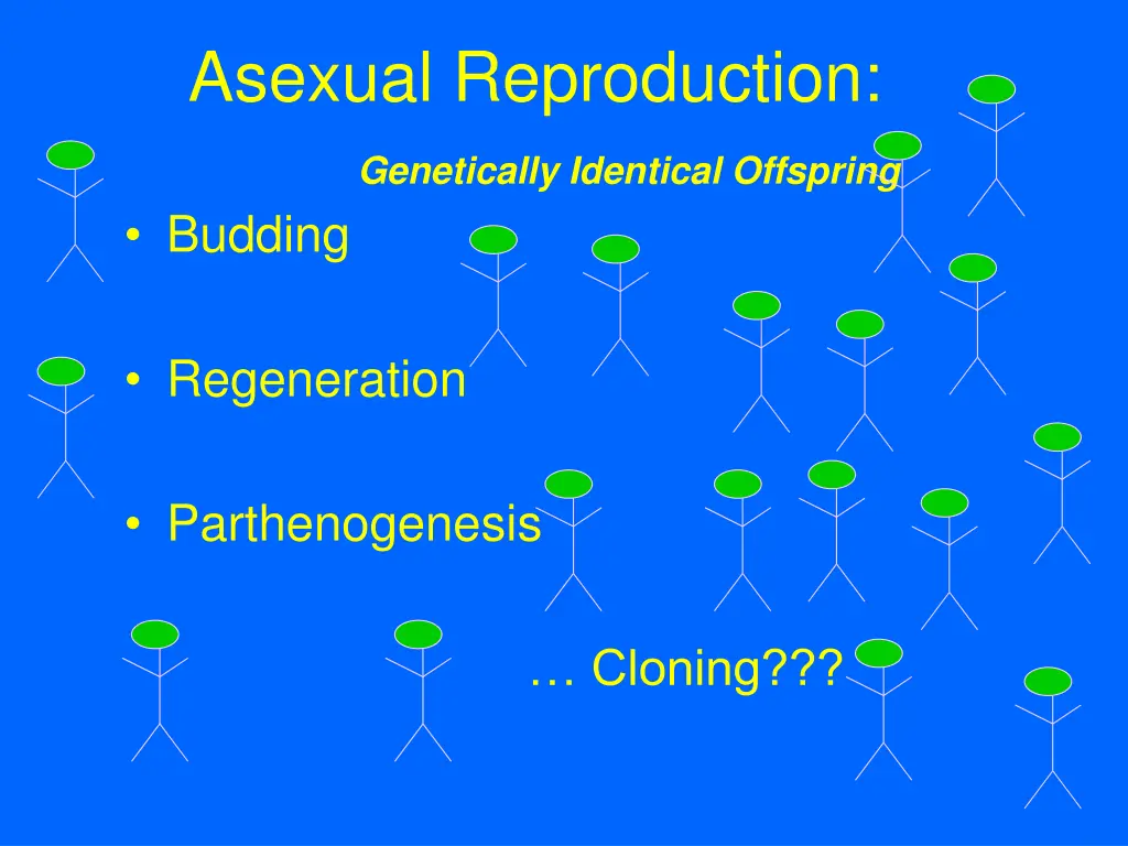asexual reproduction genetically identical