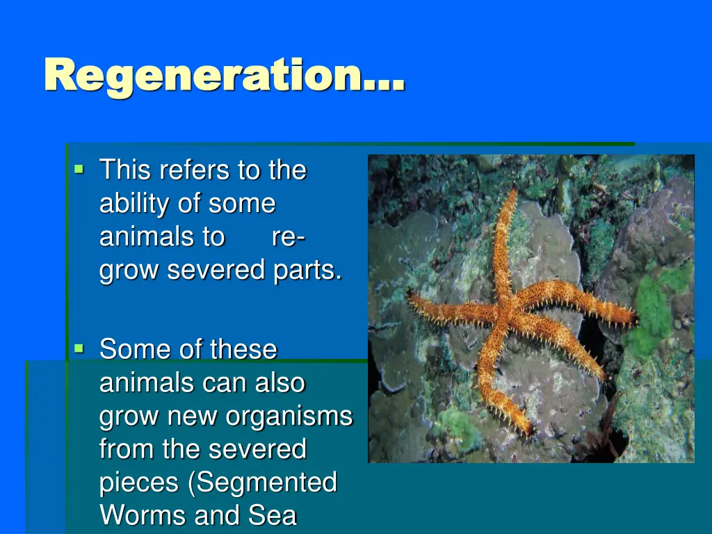 regeneration regeneration