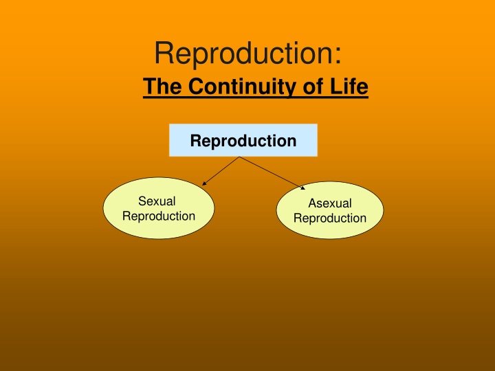 reproduction the continuity of life