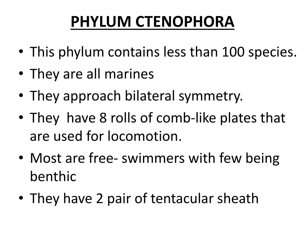 phylum ctenophora