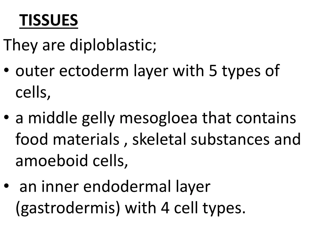 tissues they are diploblastic outer ectoderm
