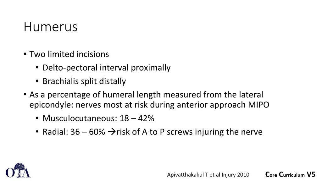 humerus 3