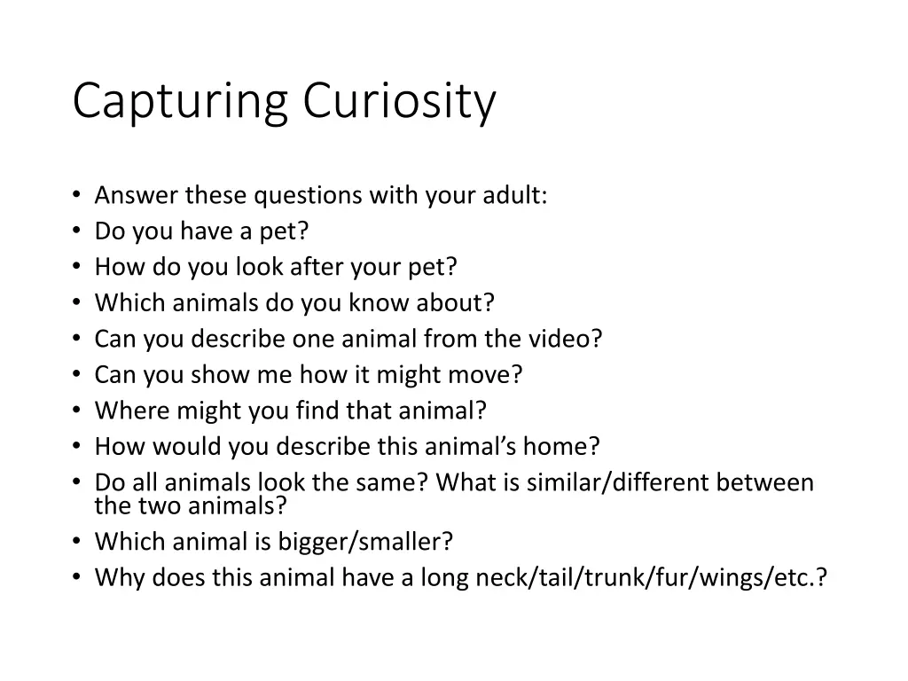 capturing curiosity