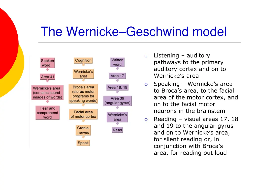 the wernicke geschwind model