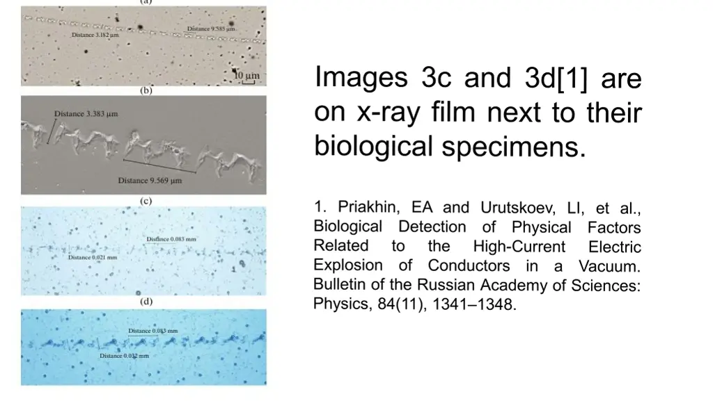 slide8