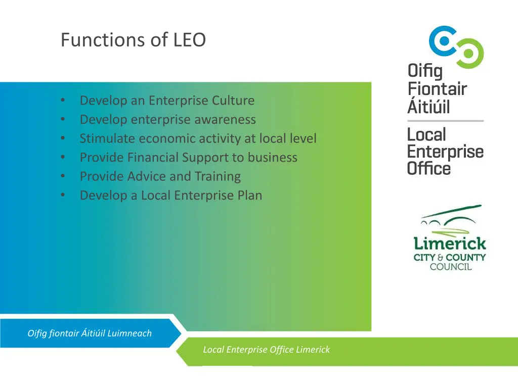 functions of leo