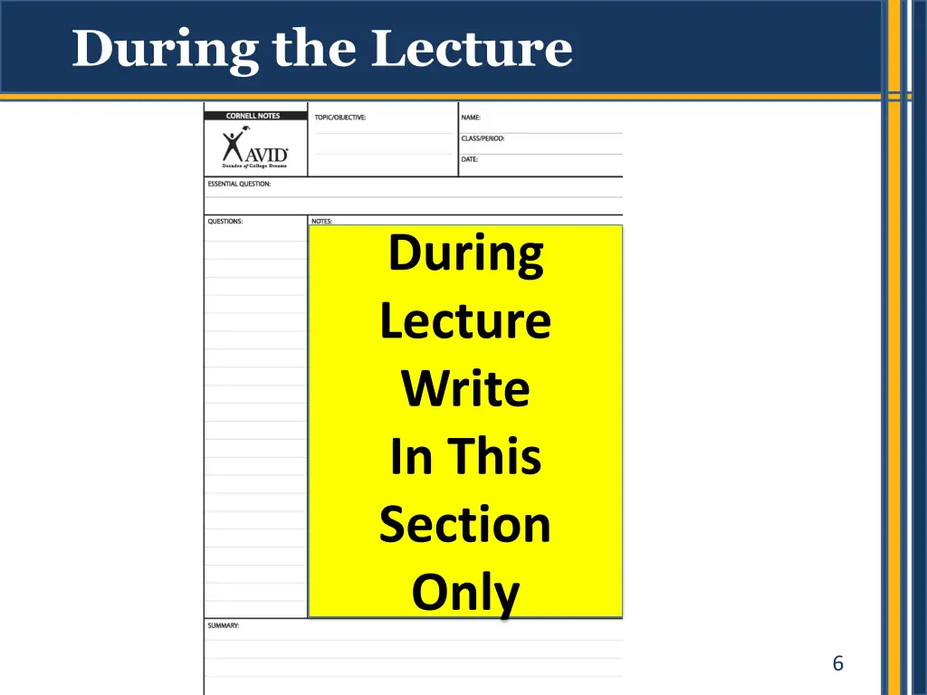 during the lecture