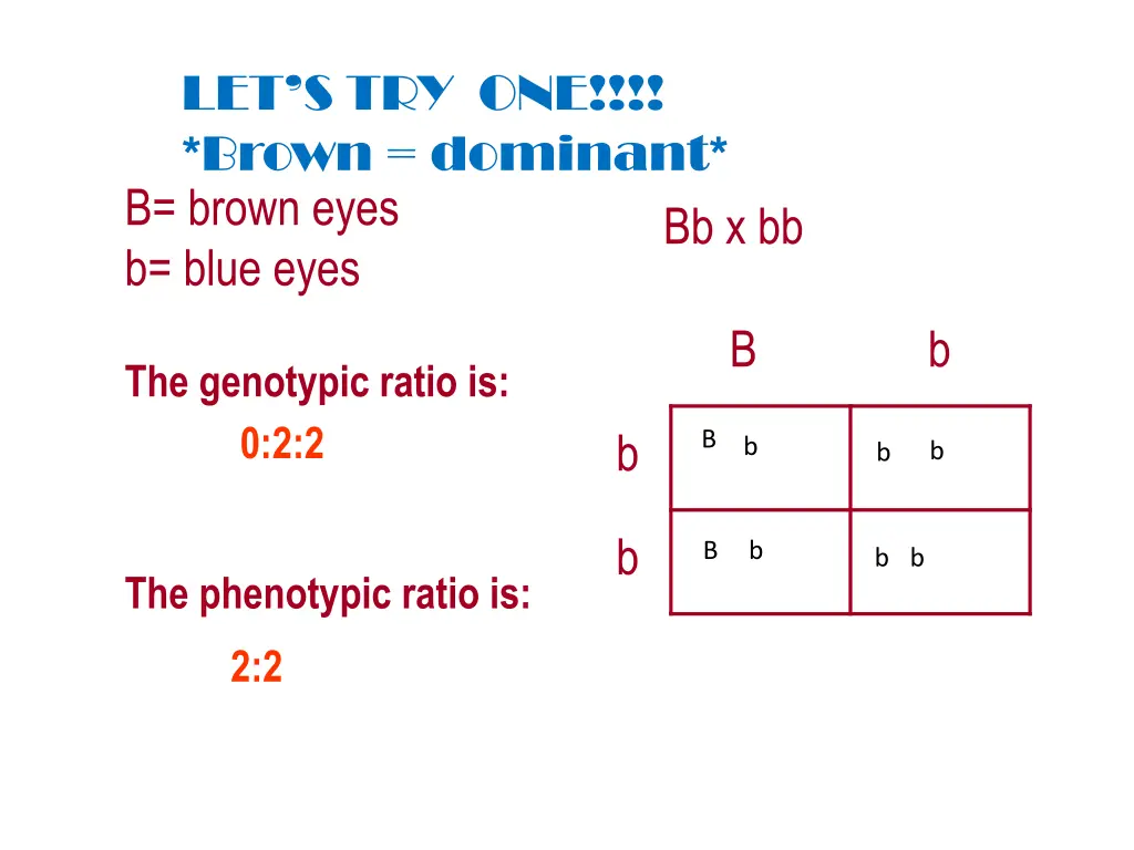 let s try one brown dominant b brown eyes b blue