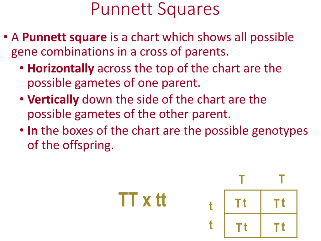 punnett squares
