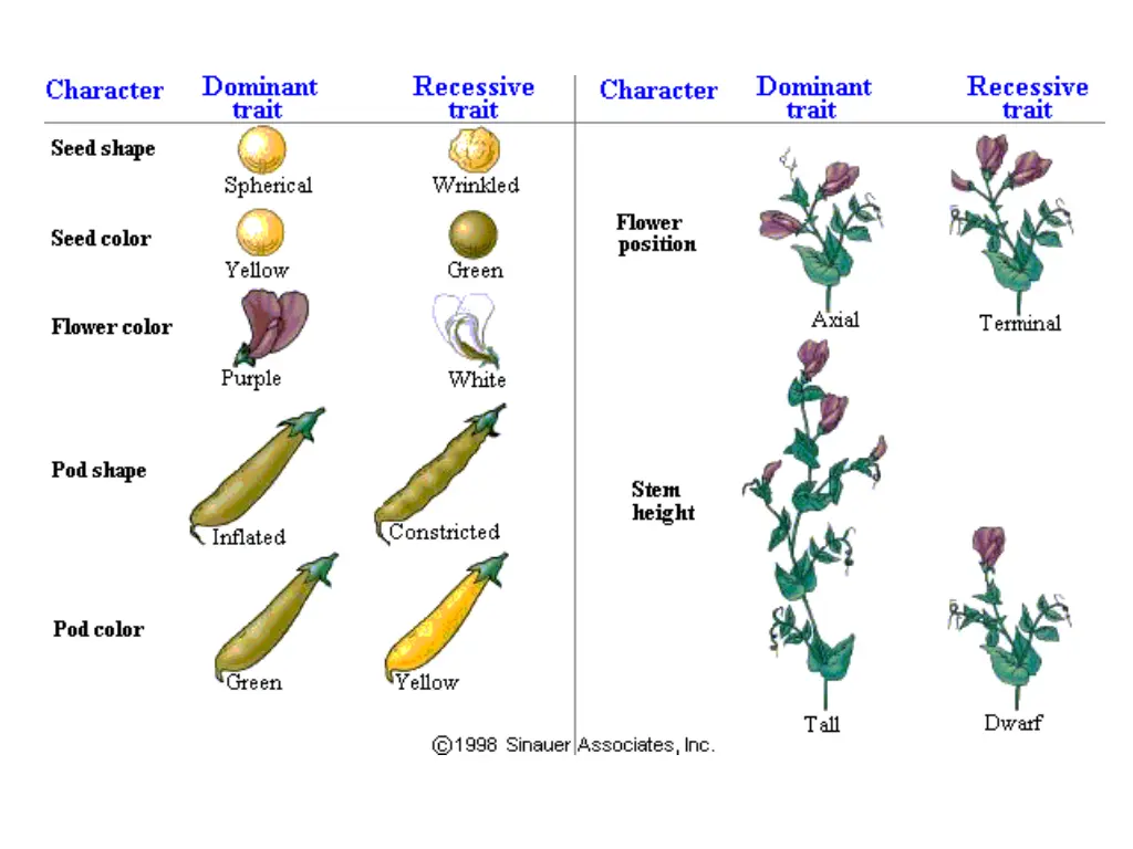 slide13