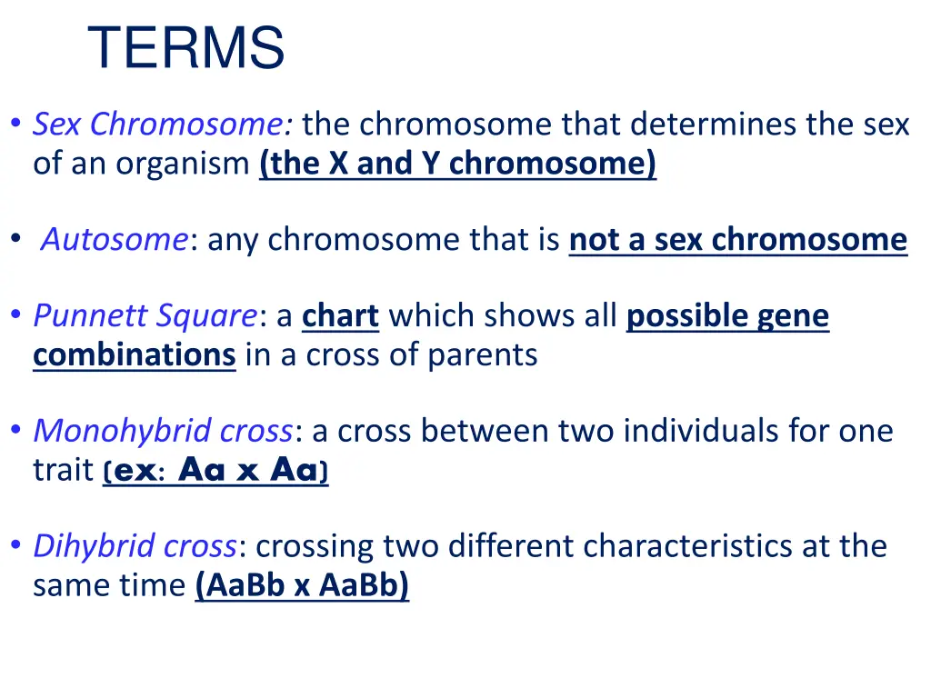 terms 1