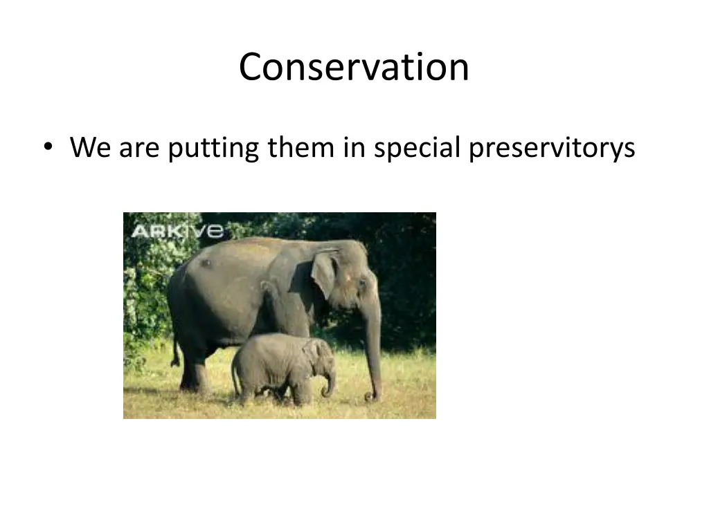 conservation