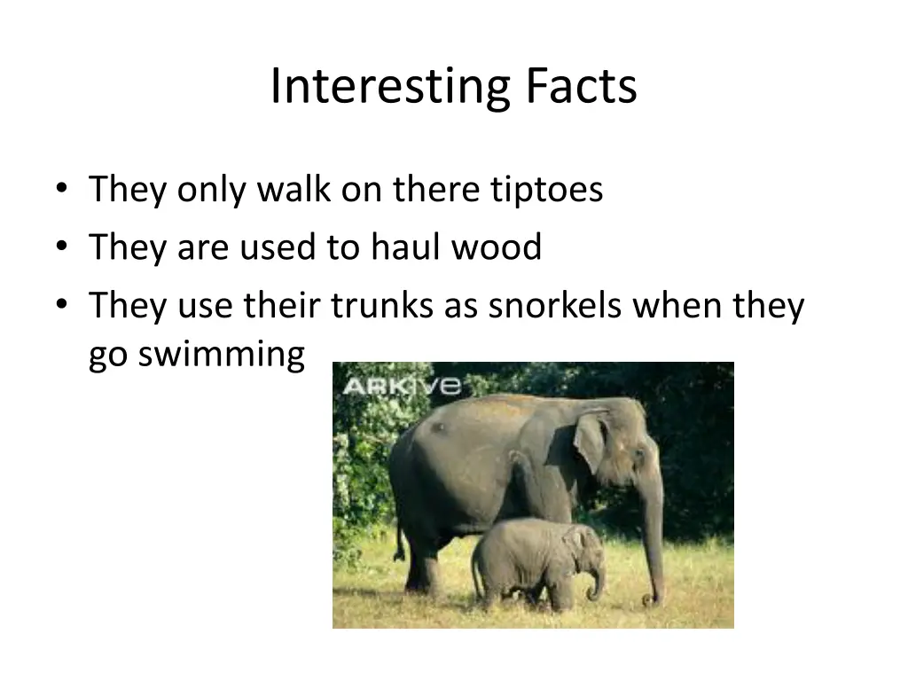 interesting facts