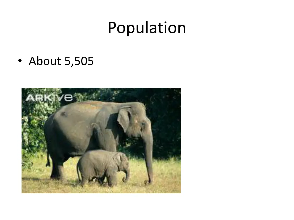 population