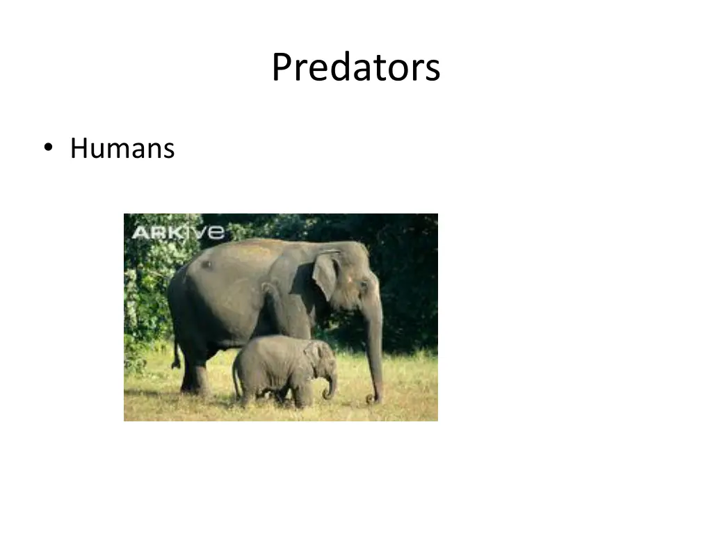 predators