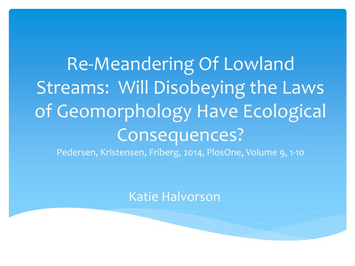 re meandering of lowland streams will disobeying