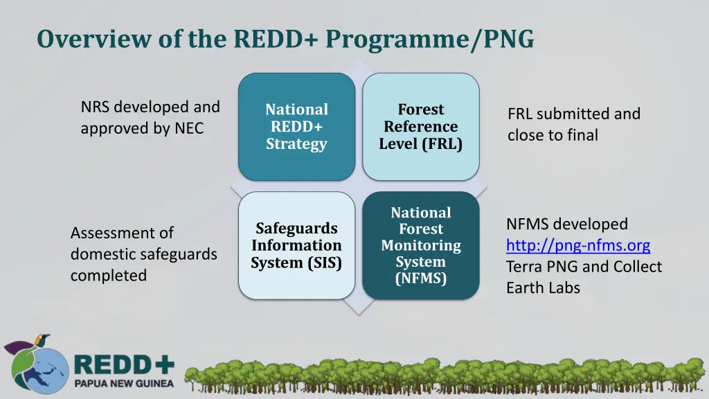 overview of the redd programme png 1