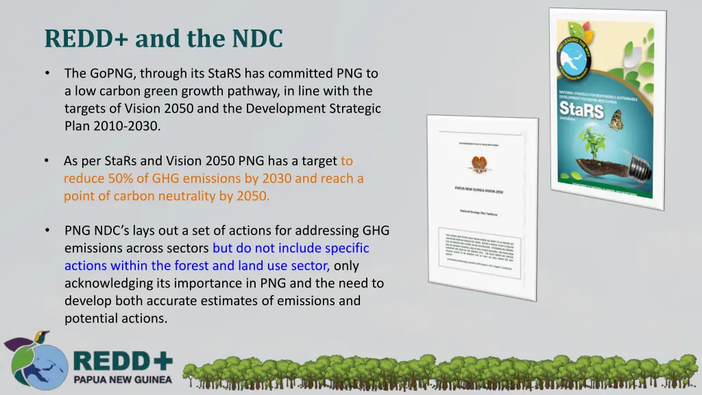 redd and the ndc