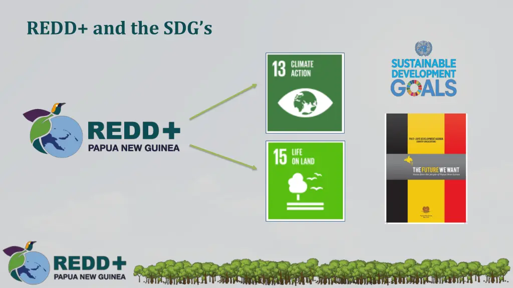 redd and the sdg s
