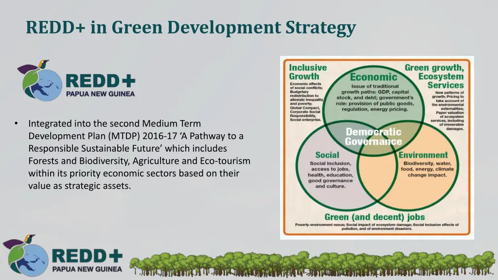 redd in green development strategy