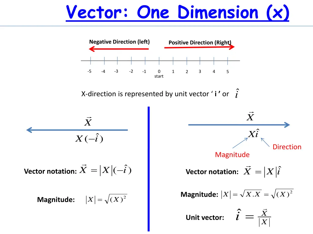 vector one dimension x