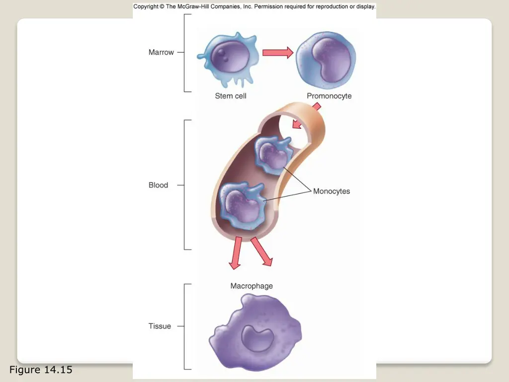 figure 14 15