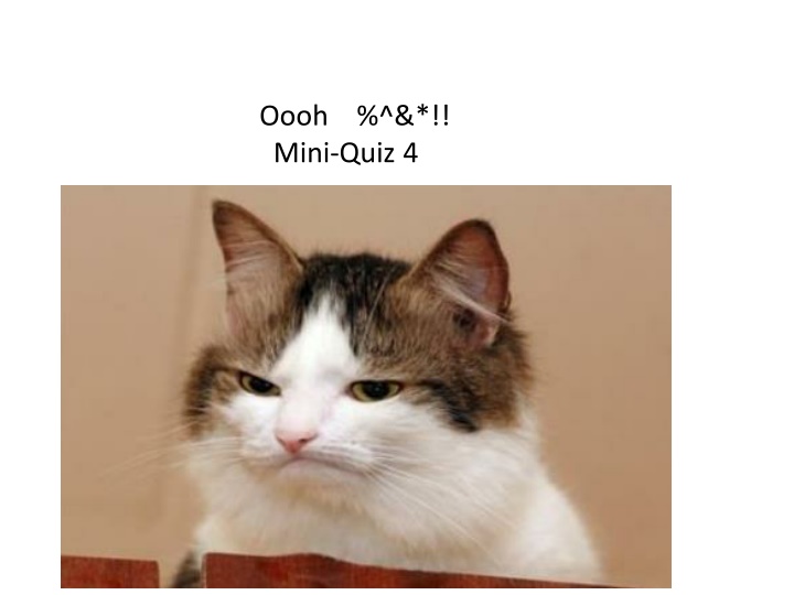 oooh mini quiz 4