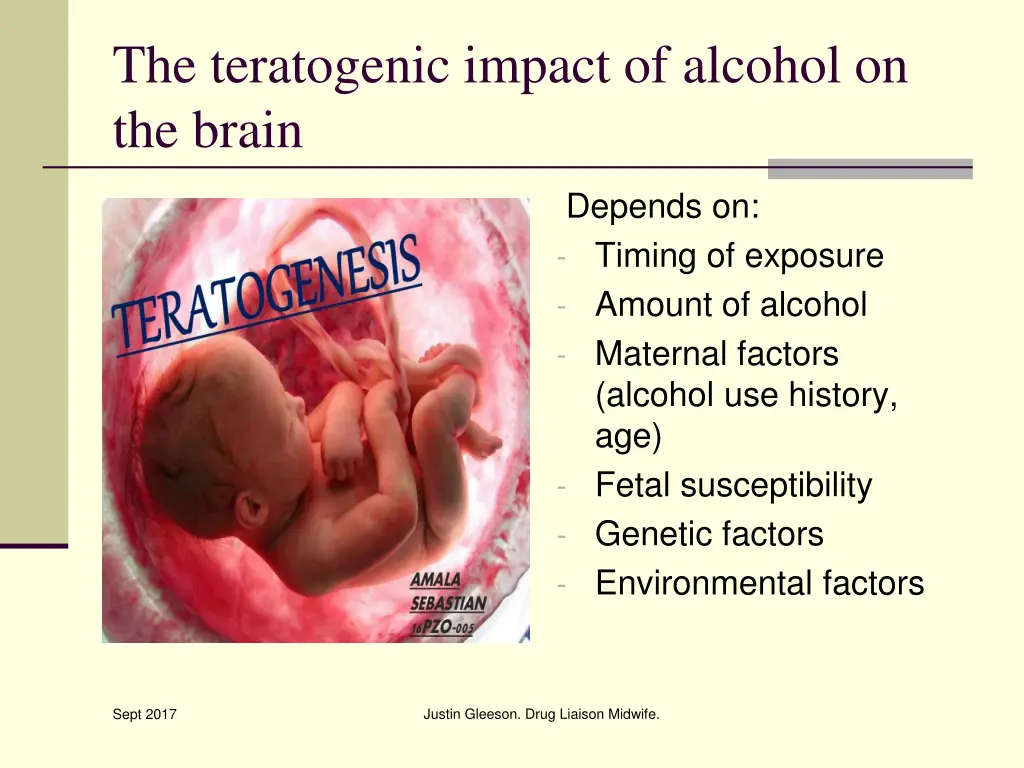 the teratogenic impact of alcohol on the brain