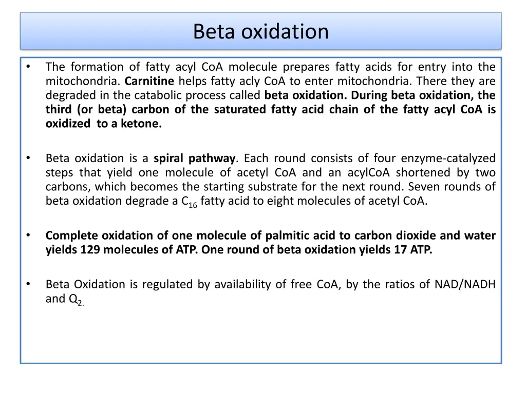 beta oxidation