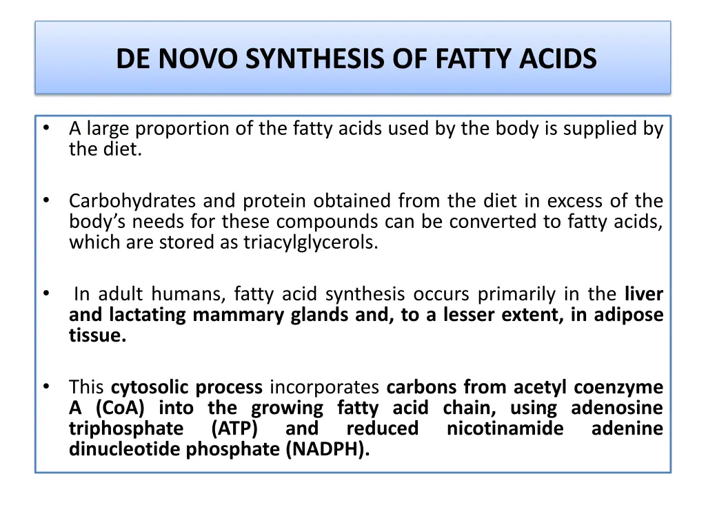de novo synthesis of fatty acids
