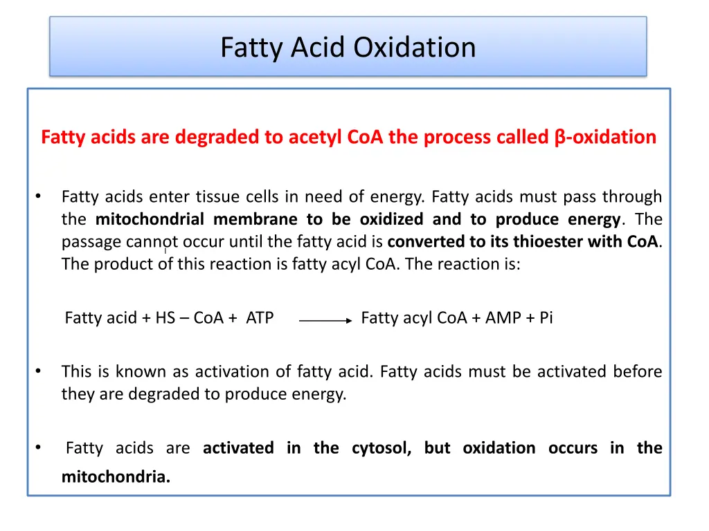 fatty acid oxidation