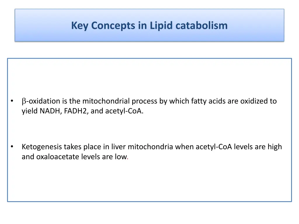 key concepts in lipid catabolism