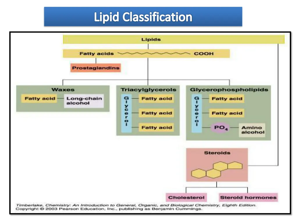 lipid classification