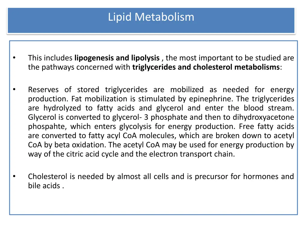 lipid metabolism