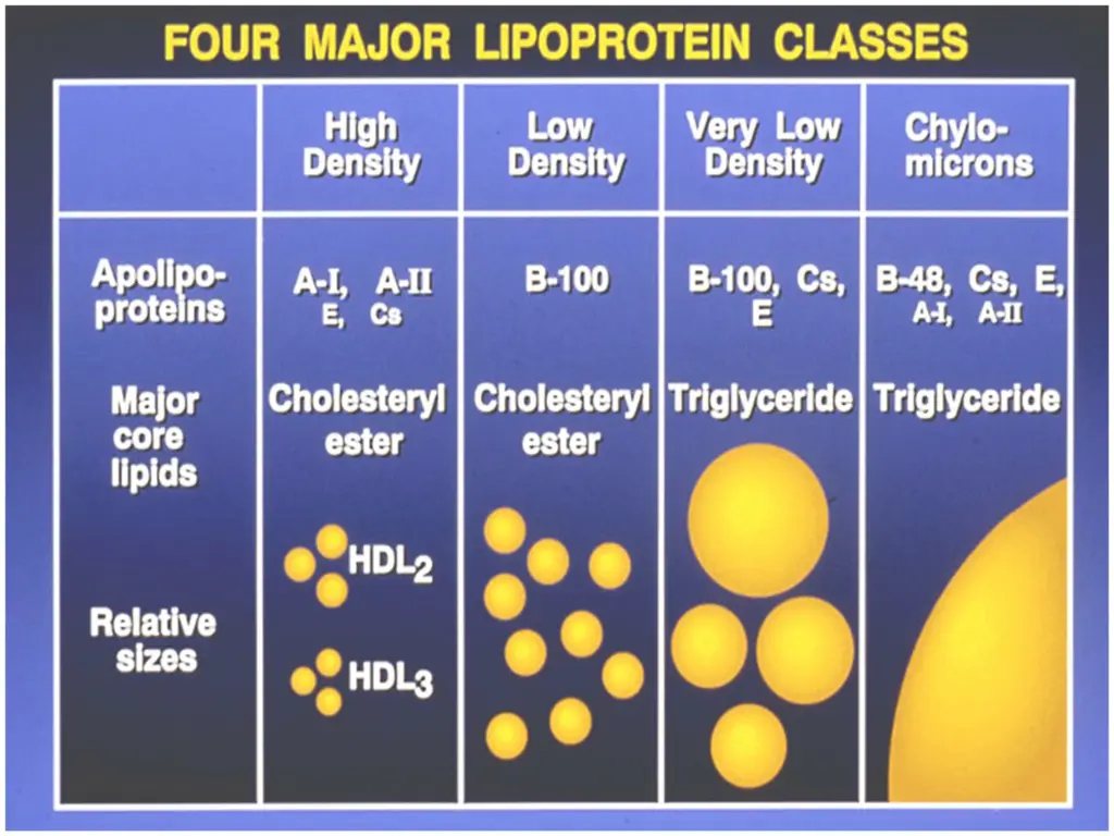 slide12