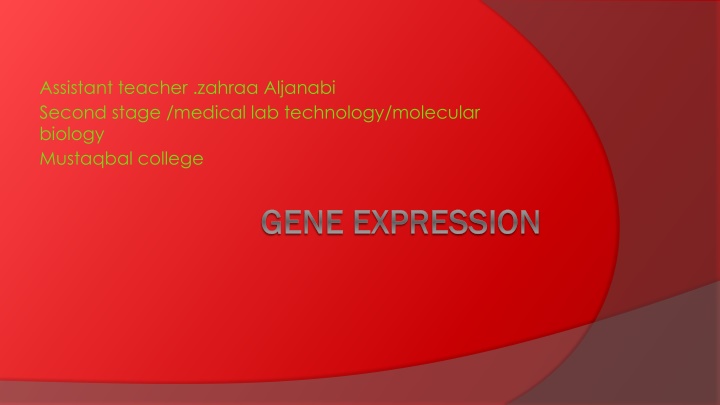 assistant teacher zahraa aljanabi second stage
