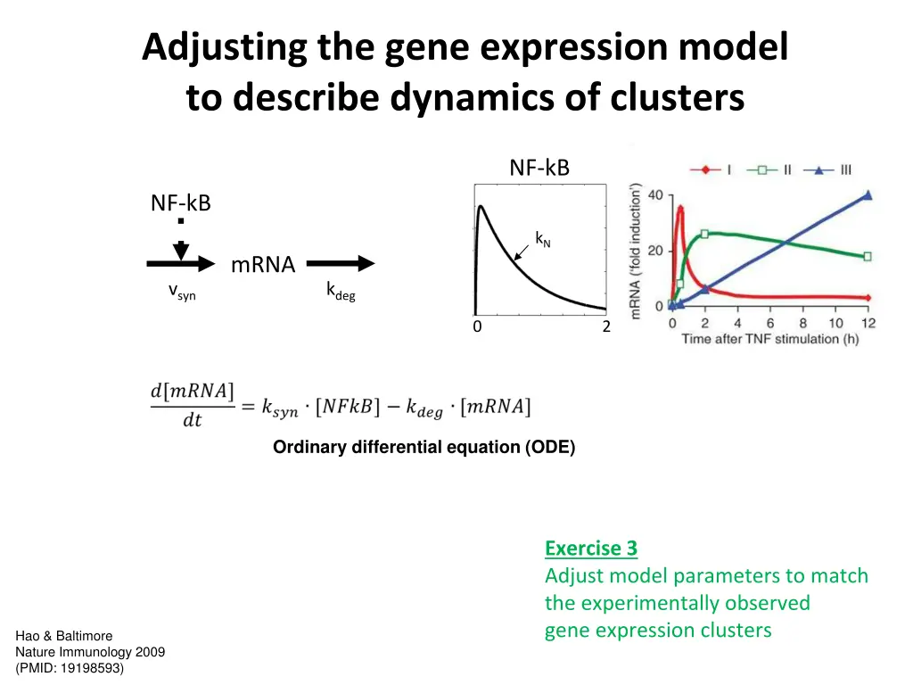 adjusting the gene expression model to describe
