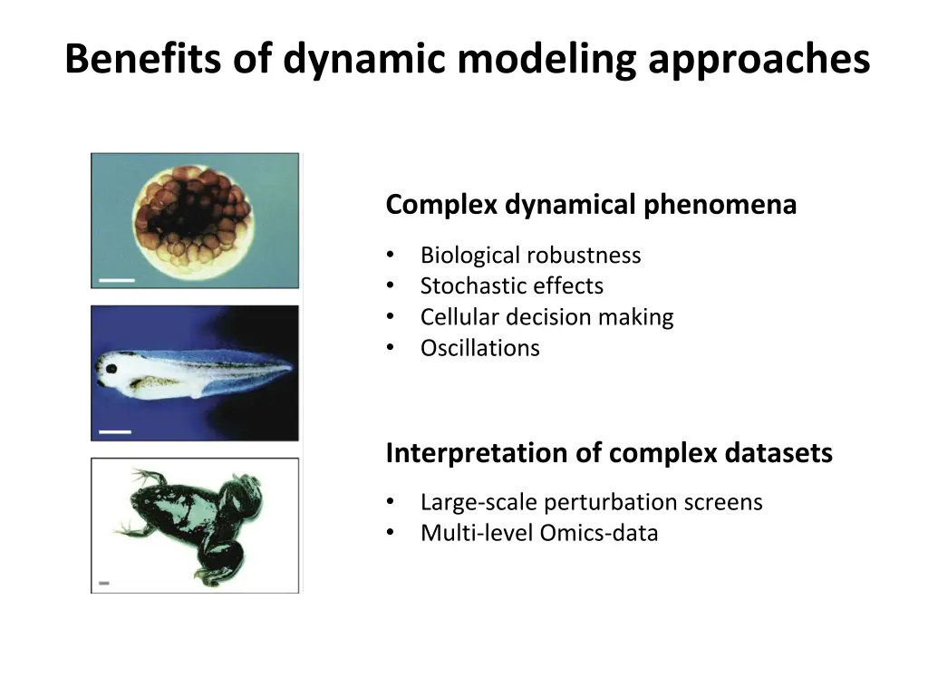 benefits of dynamic modeling approaches